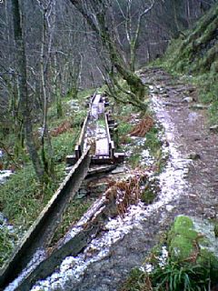 De gamle trerennene en vinterdag i 2007.