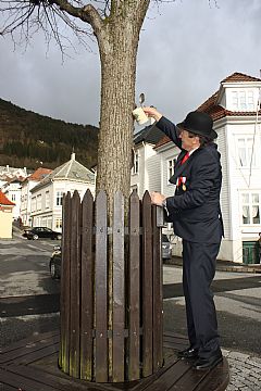 Edmund Tangseth bedugger Treet. Foto: Mona Lygre