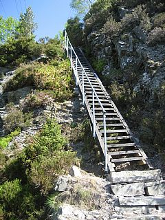 Dræggeguttene har skiftet tretrappen (mai 2008). Foto: KL.